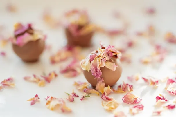 1 جود بيت كازينو تطبيق أندرويد/آي أو إس